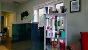 Rapunzel’s Salon & Spa